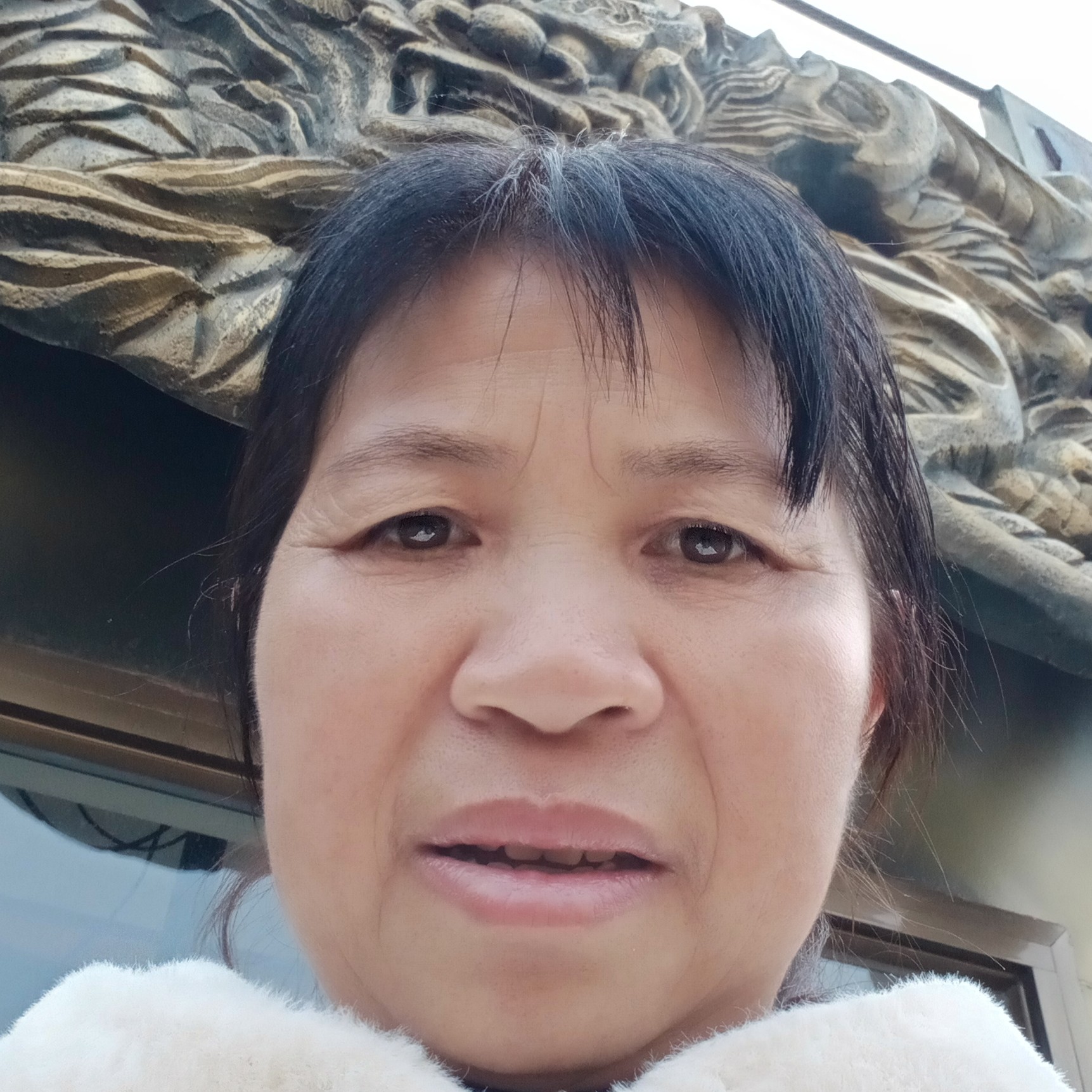 包容和板栗的照片