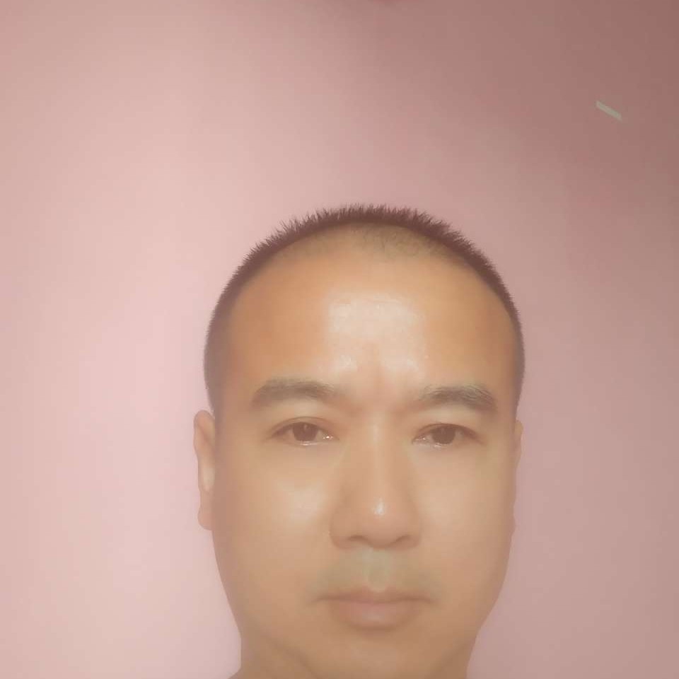 飞鸟漫步的照片