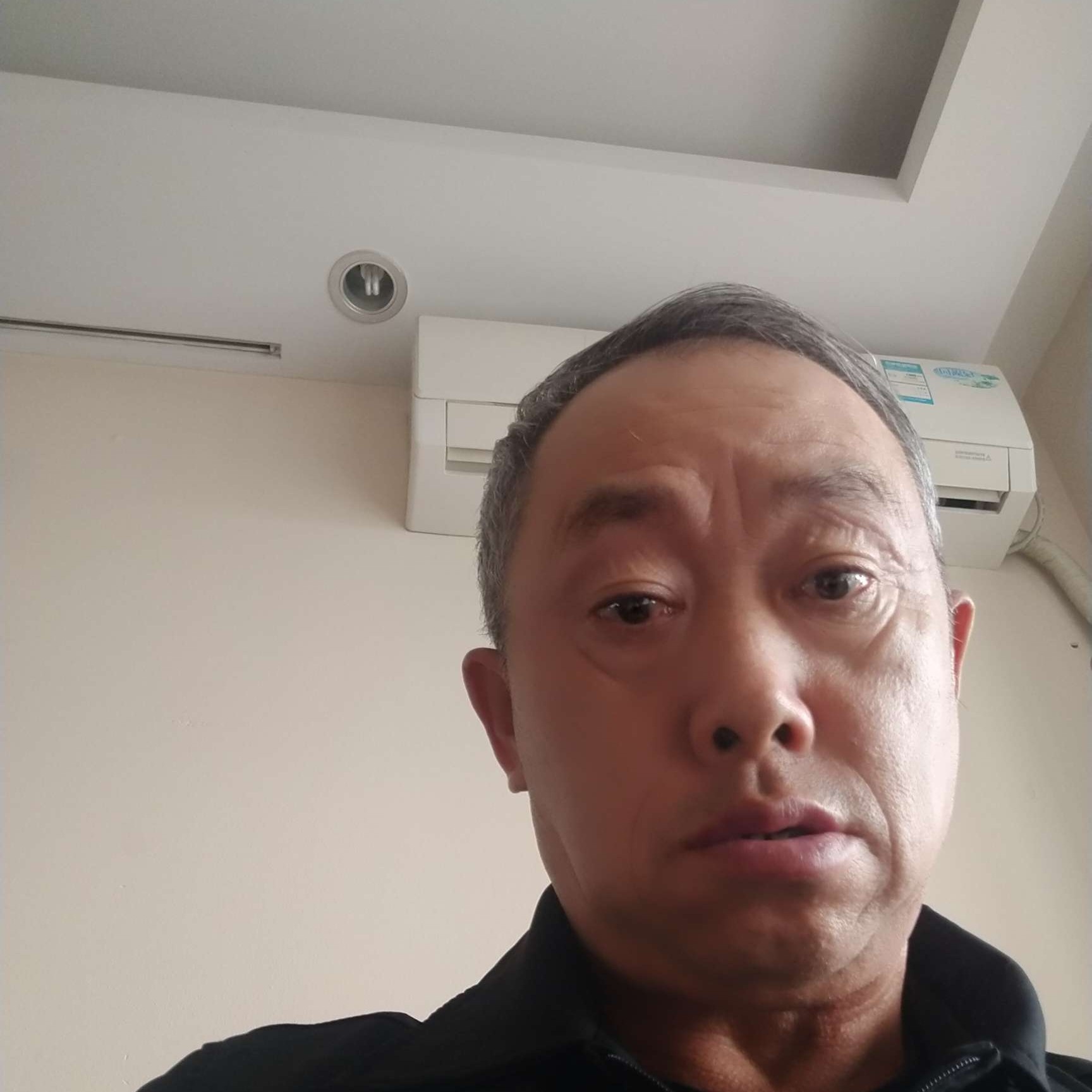 白猫爱机灵的照片
