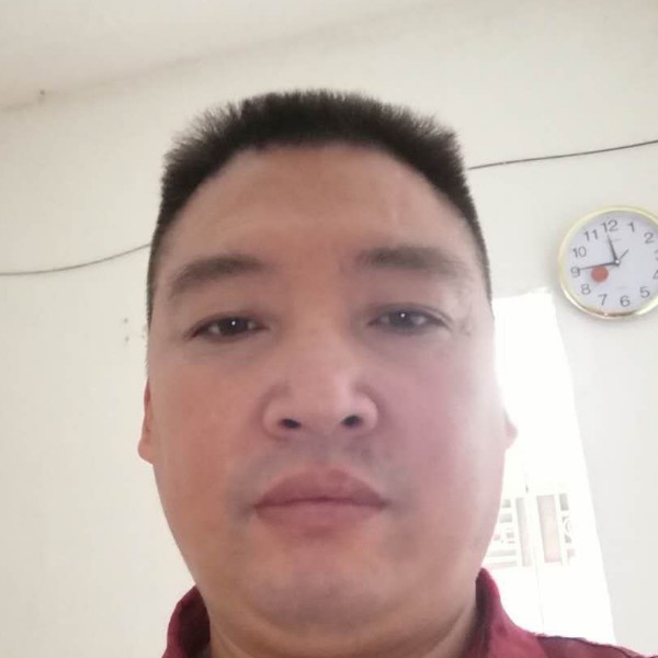 阳光总在风雨后吗的照片