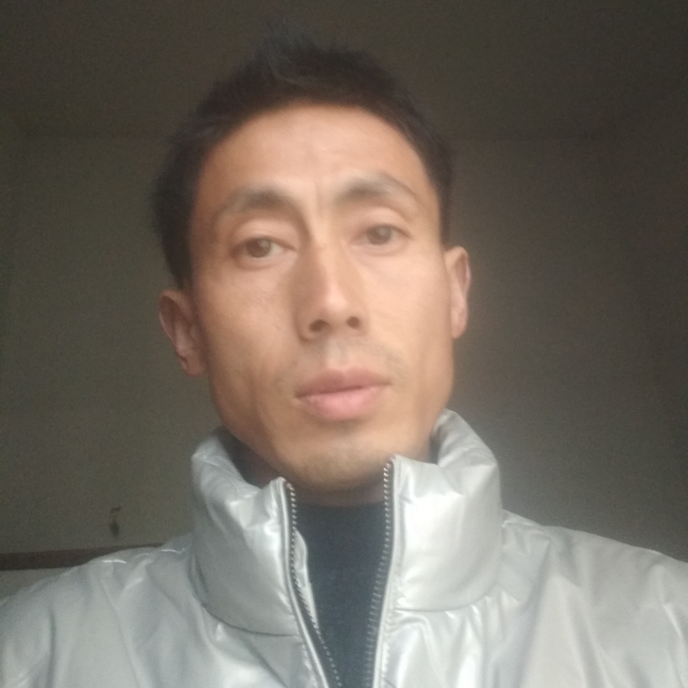 我是尘埃的照片
