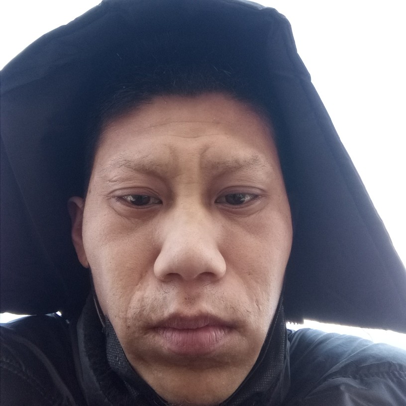 热狗等待笨笨的照片