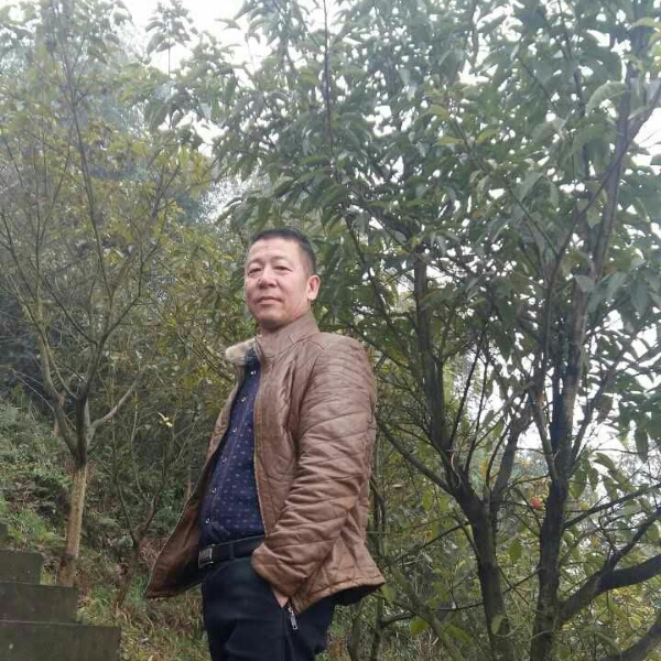 3099的照片