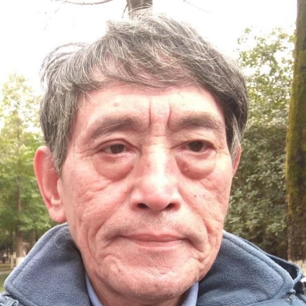 向日葵放弃美丽的照片