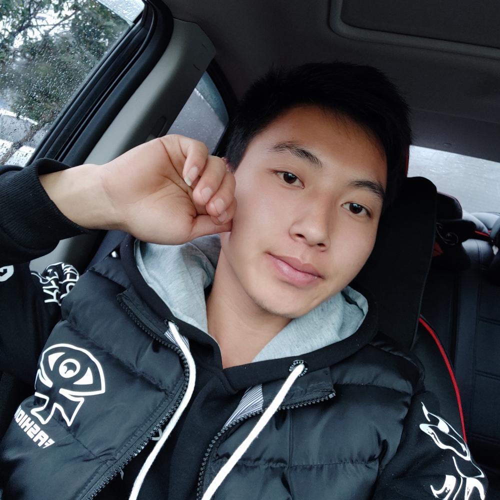 简单去做胖的照片