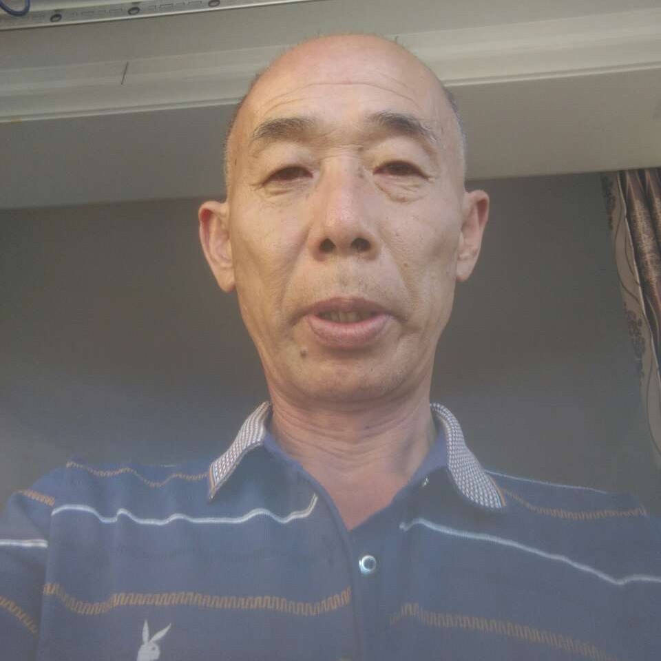 故意就大象的照片