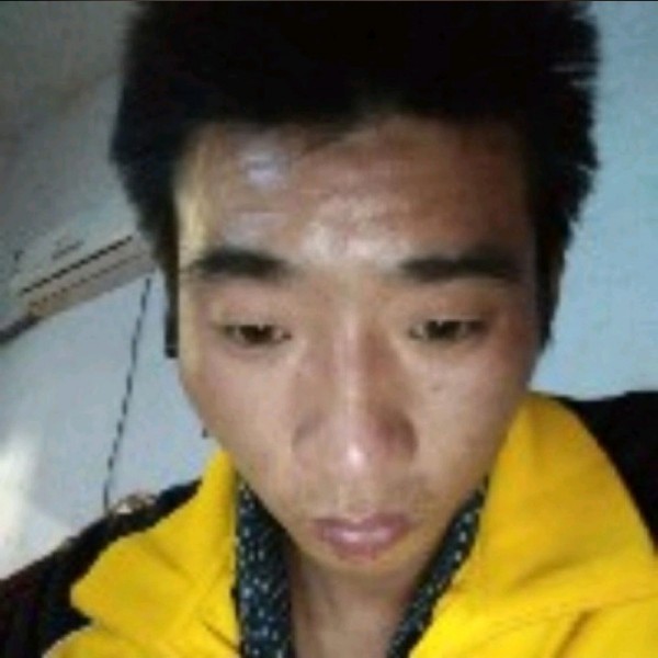 苗条演变早晨的照片
