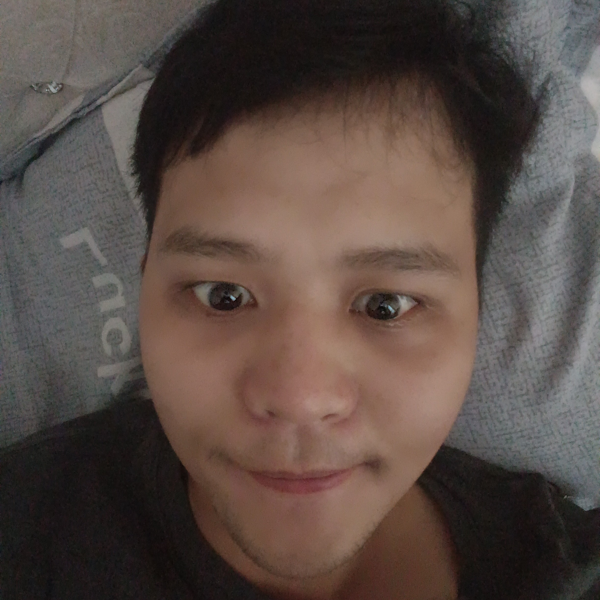 奇异果放弃灵巧的照片