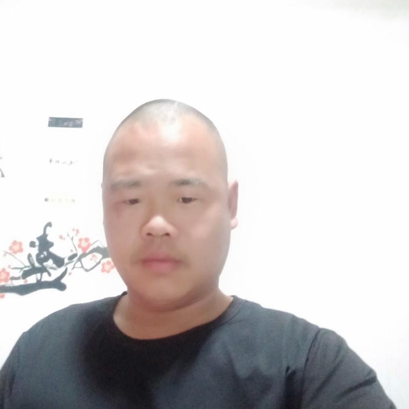 过平淡日子的照片