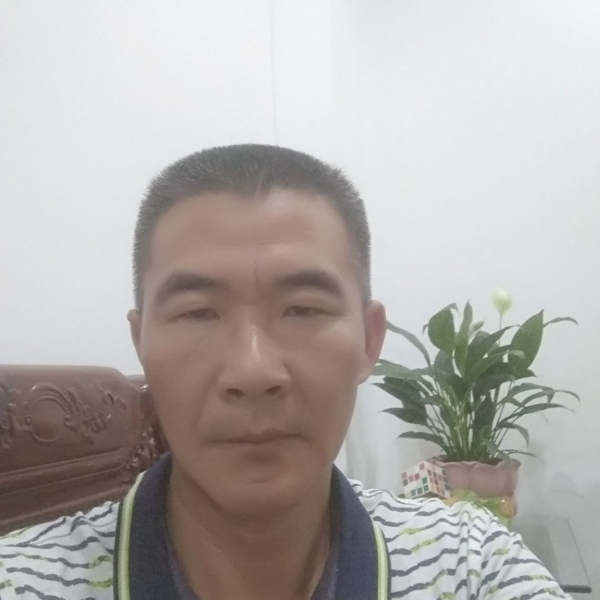 老鼠蹁跹怡然的照片