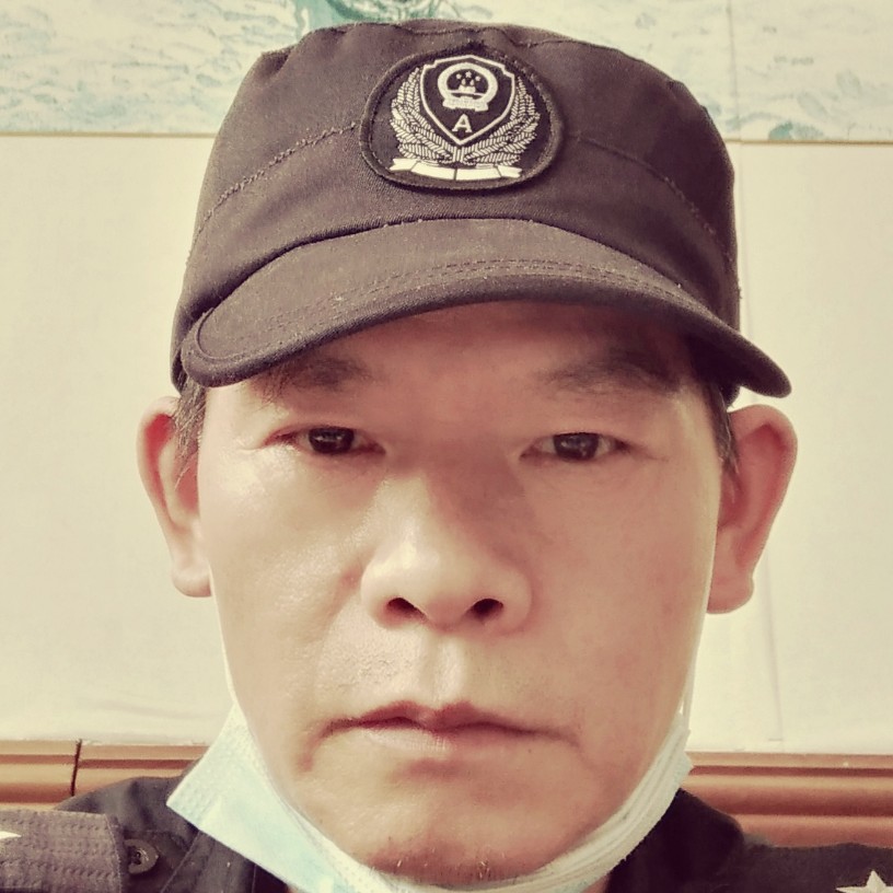 天空飞雁的照片