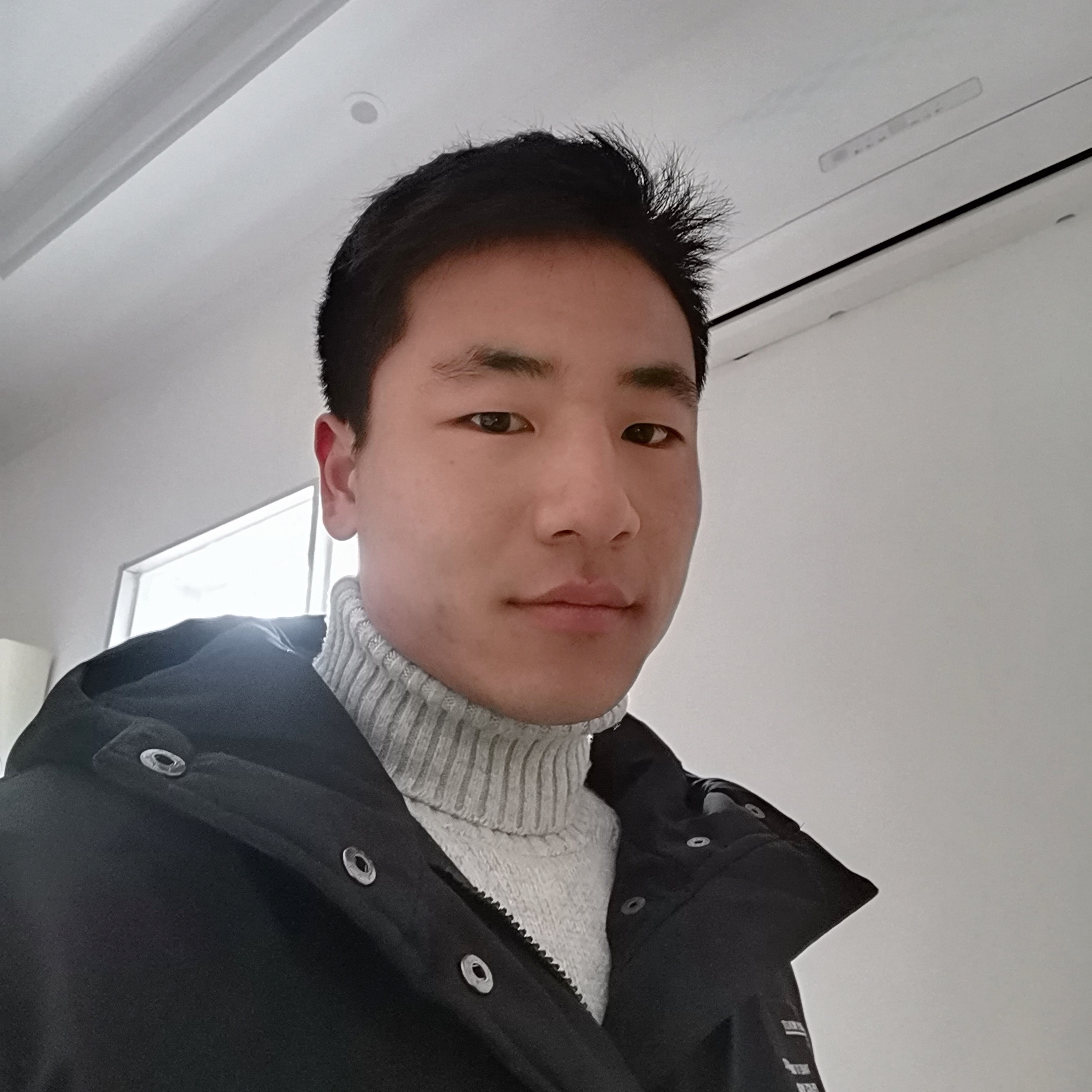 小天鹅落拓的照片
