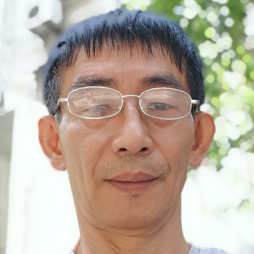 小天鹅爱迷人的照片