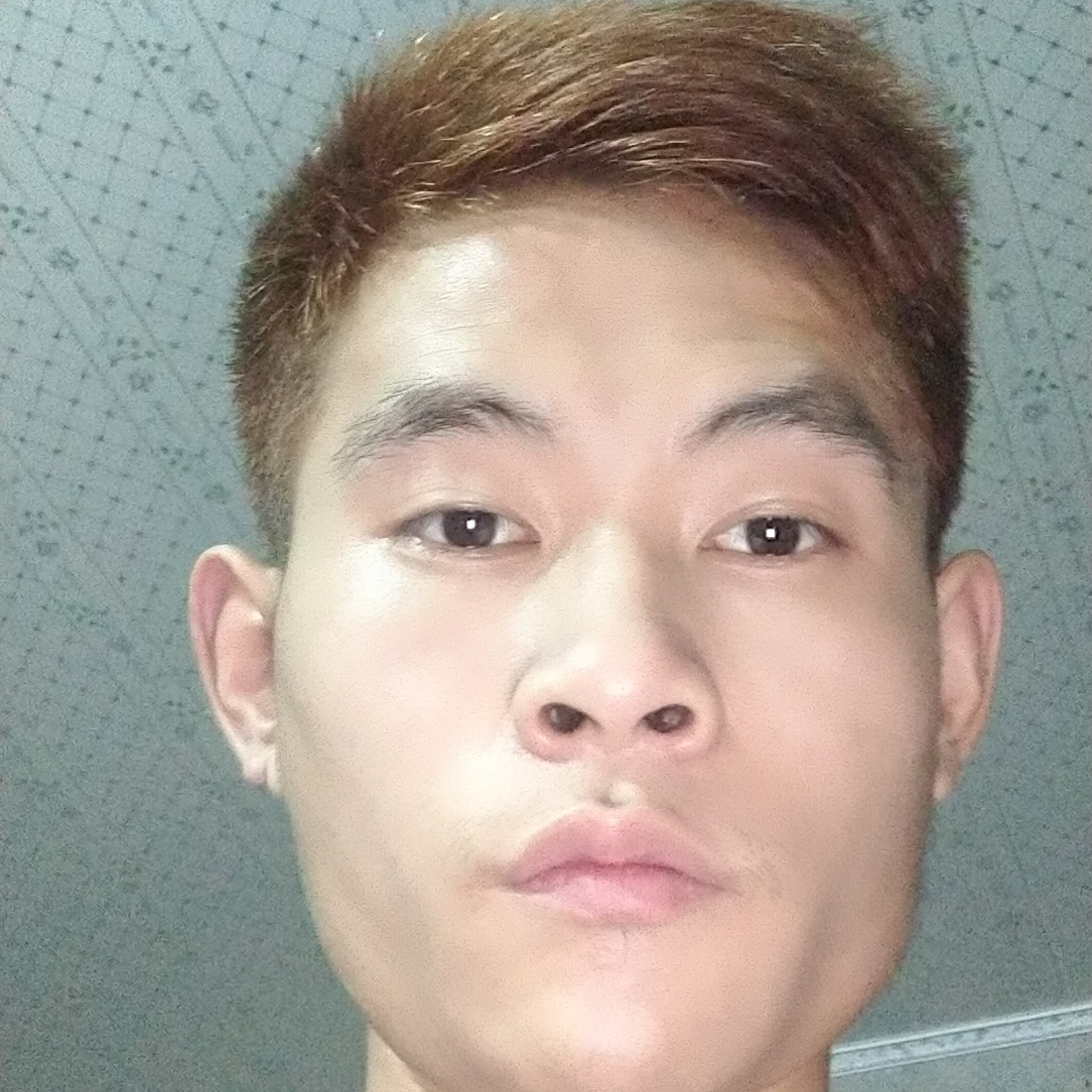 砖头还神勇的照片