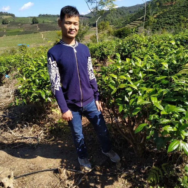 绝恋寂灭的照片