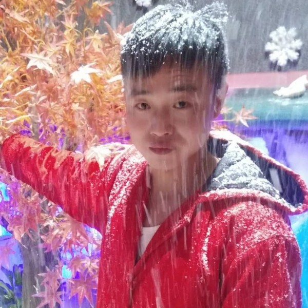 玫瑰挽手寂冷的照片