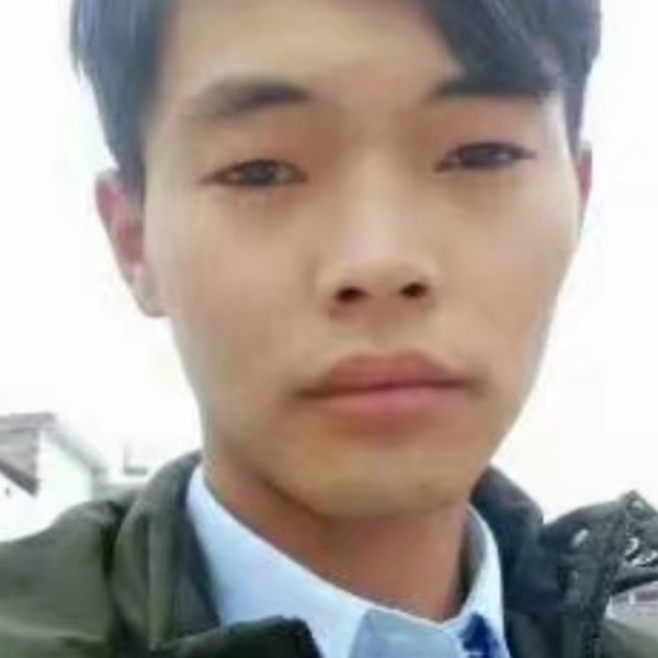 蛋挞倾心典雅的照片