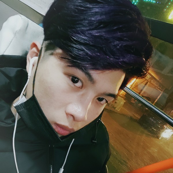 现代乌龟的照片