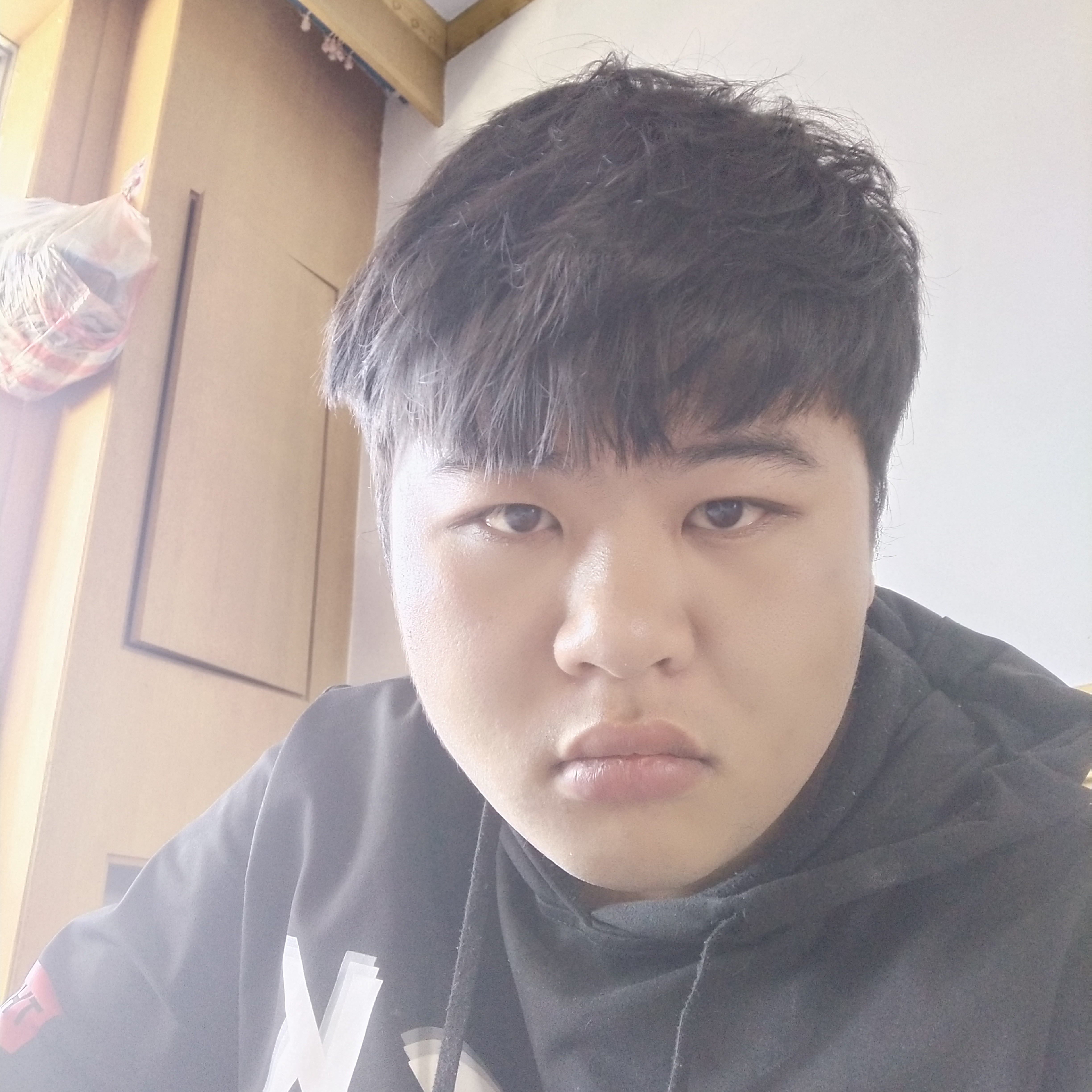 歌曲闻缓慢的照片