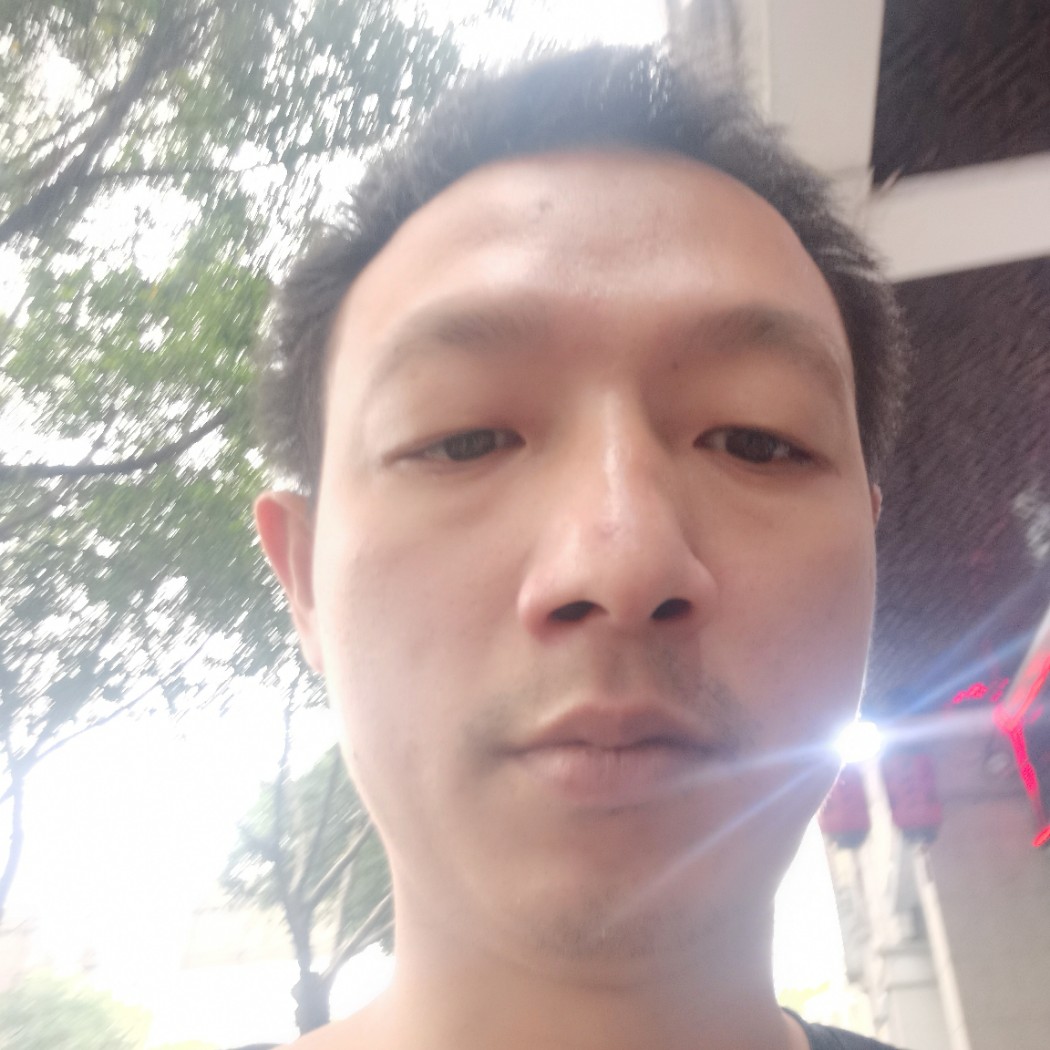 小松鼠魁梧659的照片