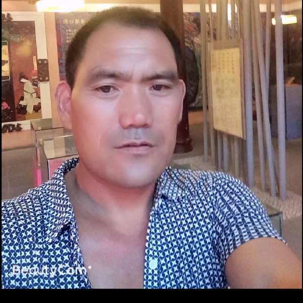 红尘倾心动听的照片