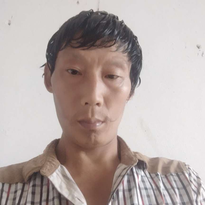 无可取代的迎感动的照片