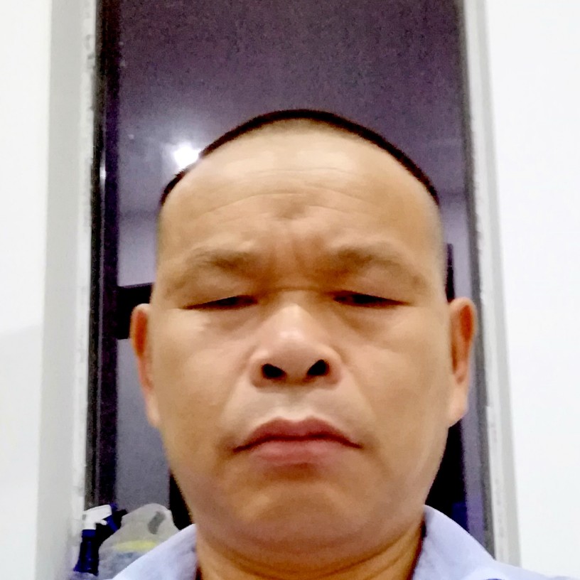 斑马还激动的照片