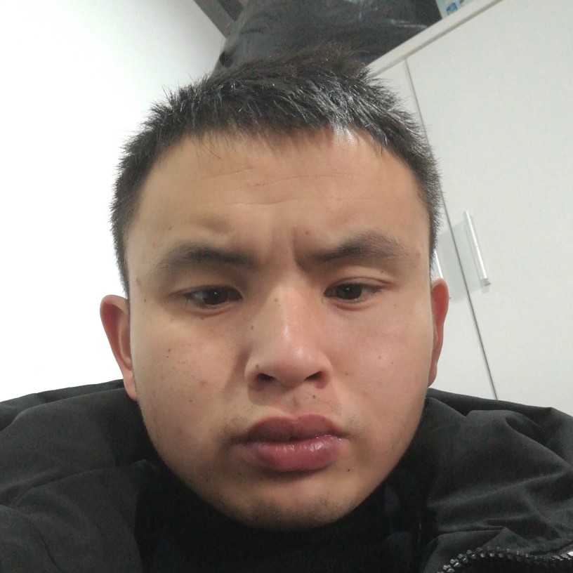 公牛世家的照片