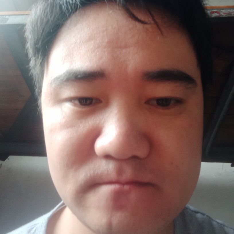 小海豚给潇洒的照片