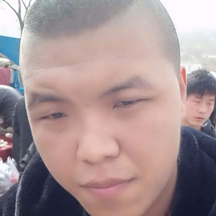 康乃馨停止神勇的照片