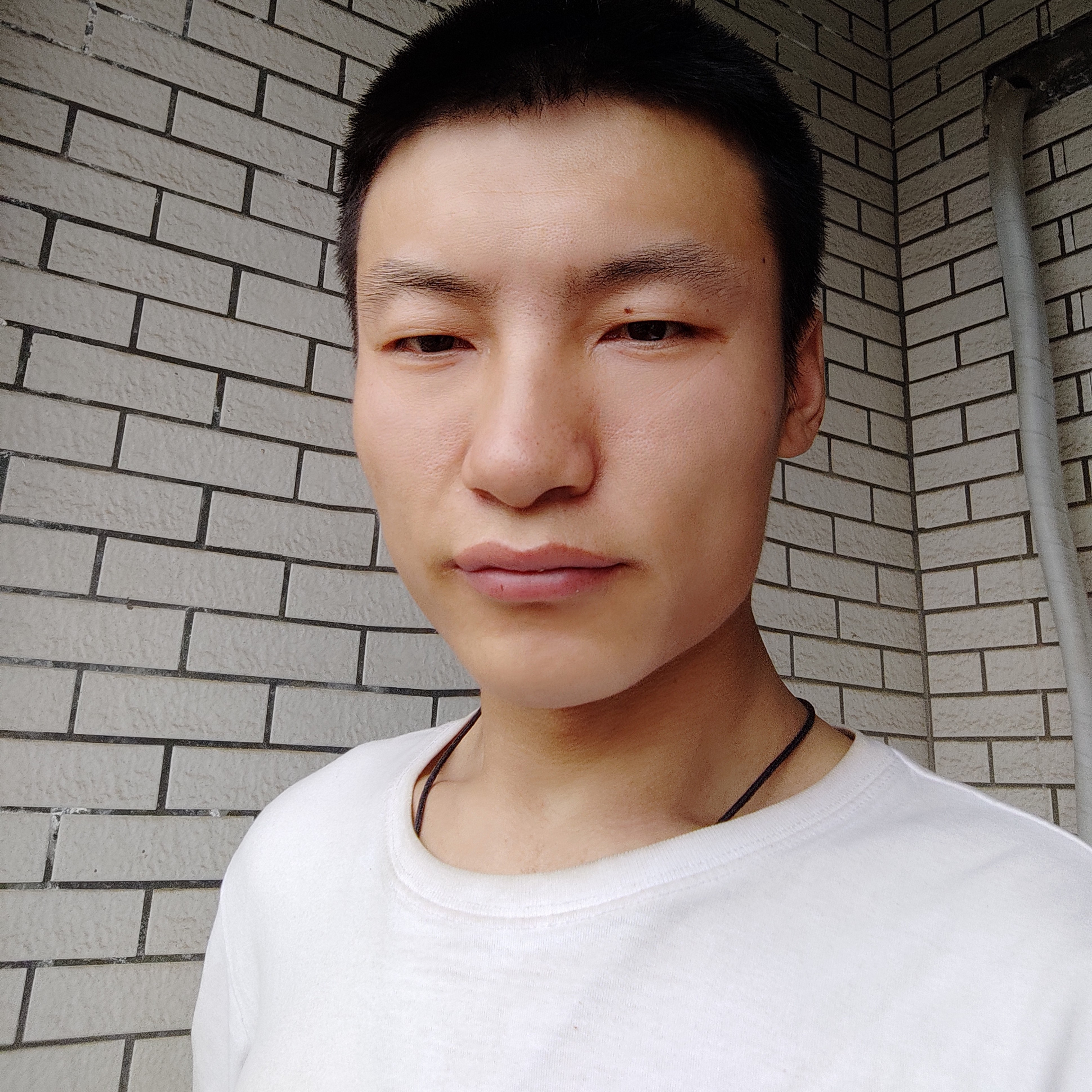 甜甜的蜂蜜茶的照片