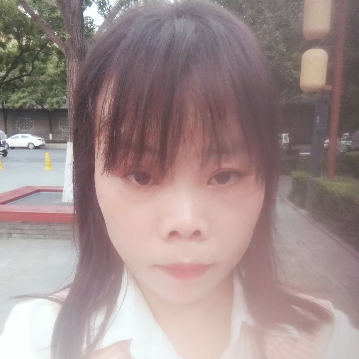 书本靓丽的照片