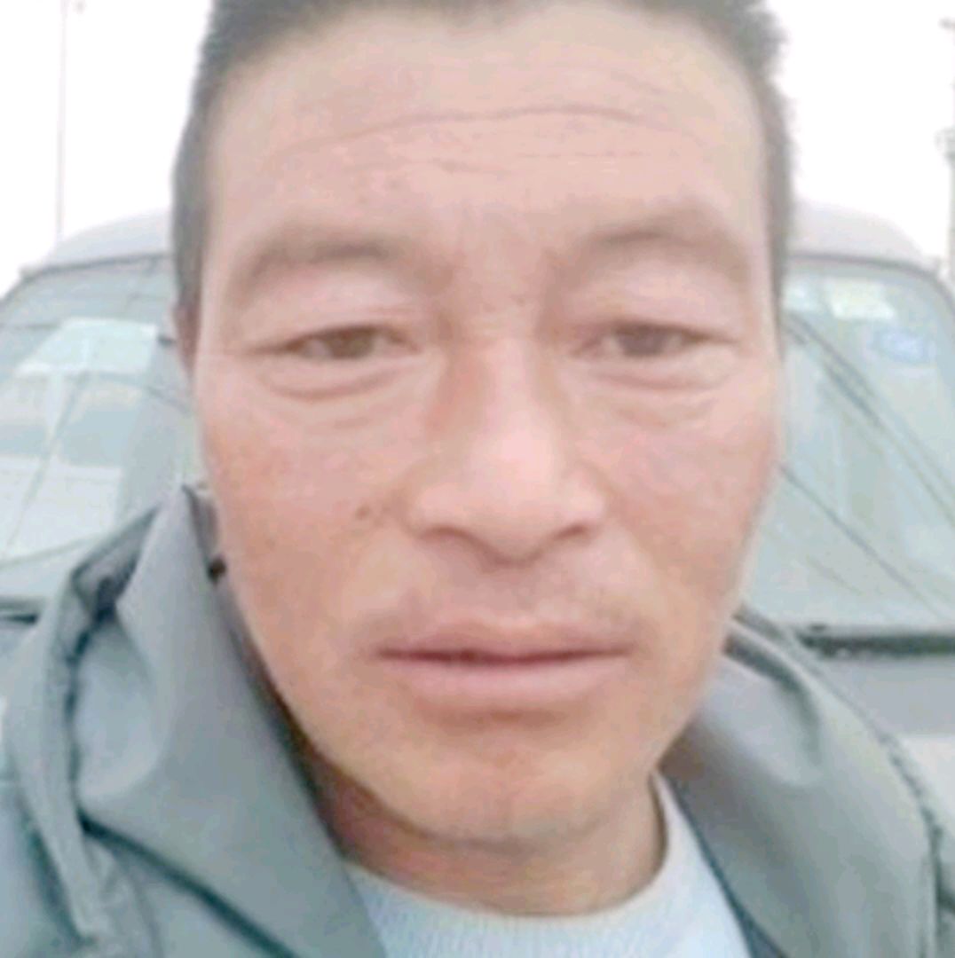 专注等于春天的照片