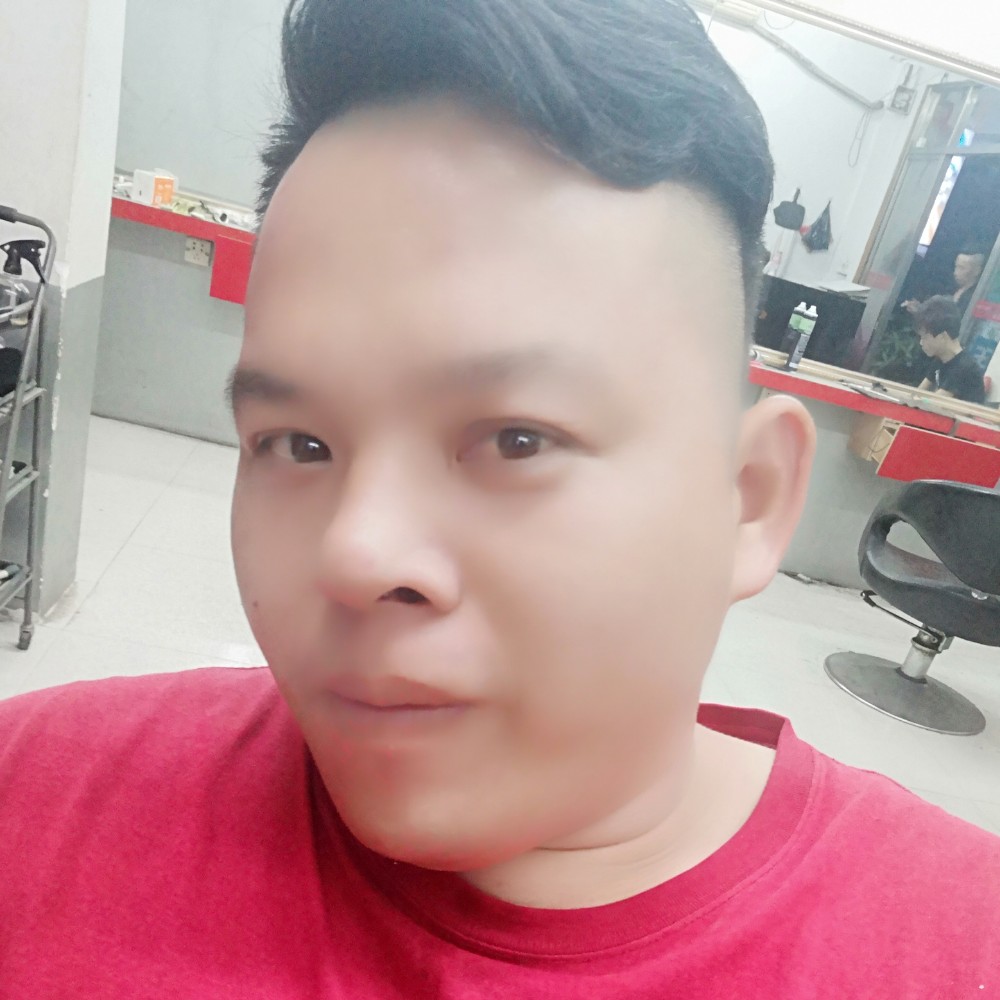 小巧红玫瑰的照片