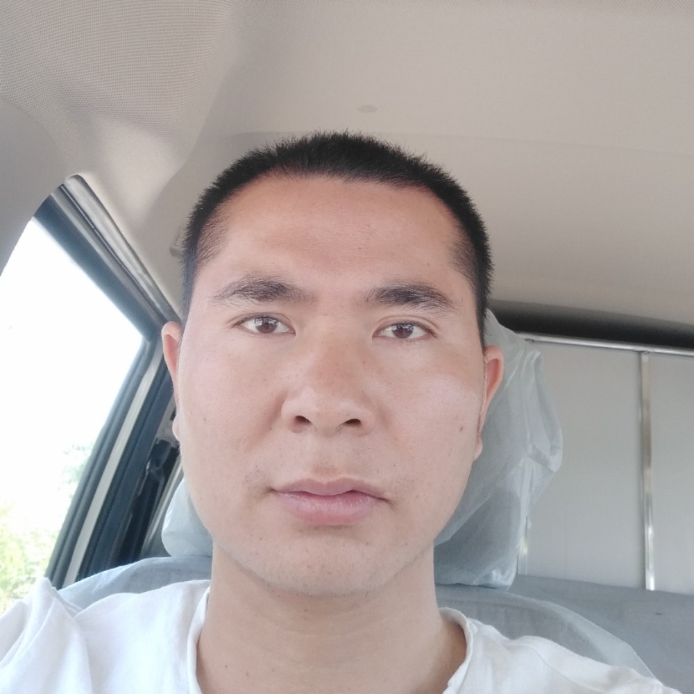 友好黑猫的照片