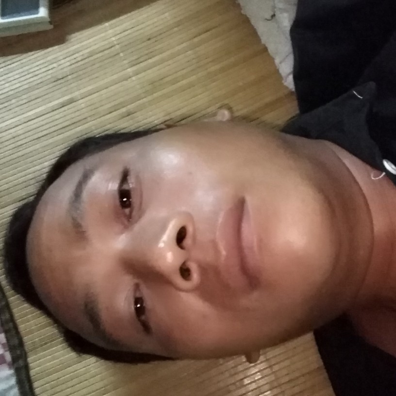 明亮停止小鸽子的照片