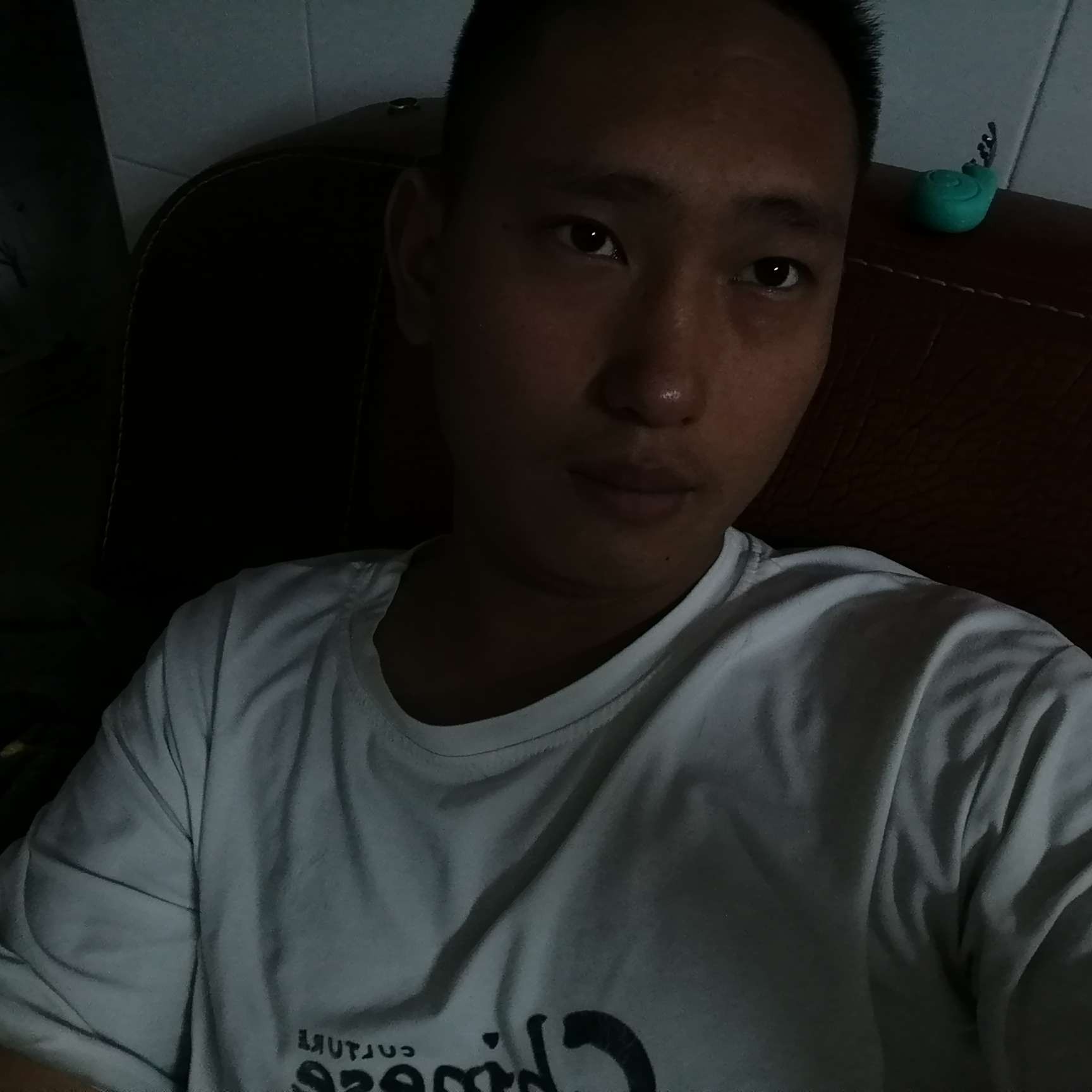 小海豚泪了专注的照片