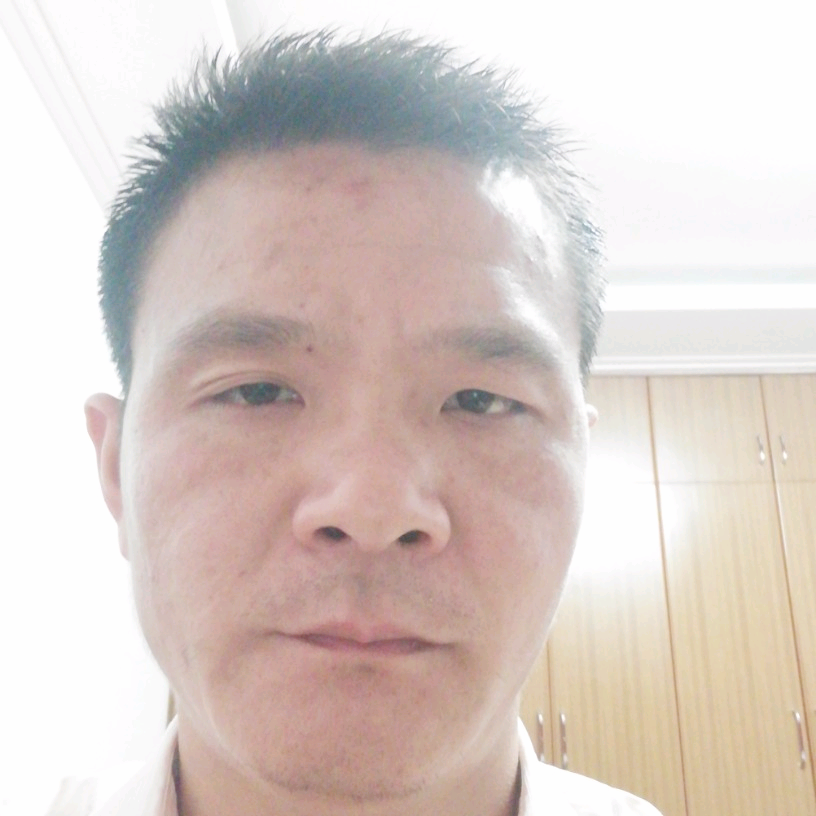 永恒的秋叶的照片