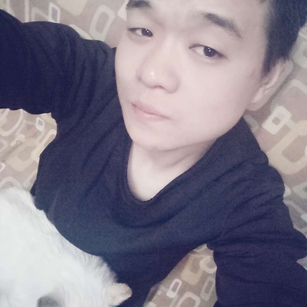 小懒猪也要上班的照片