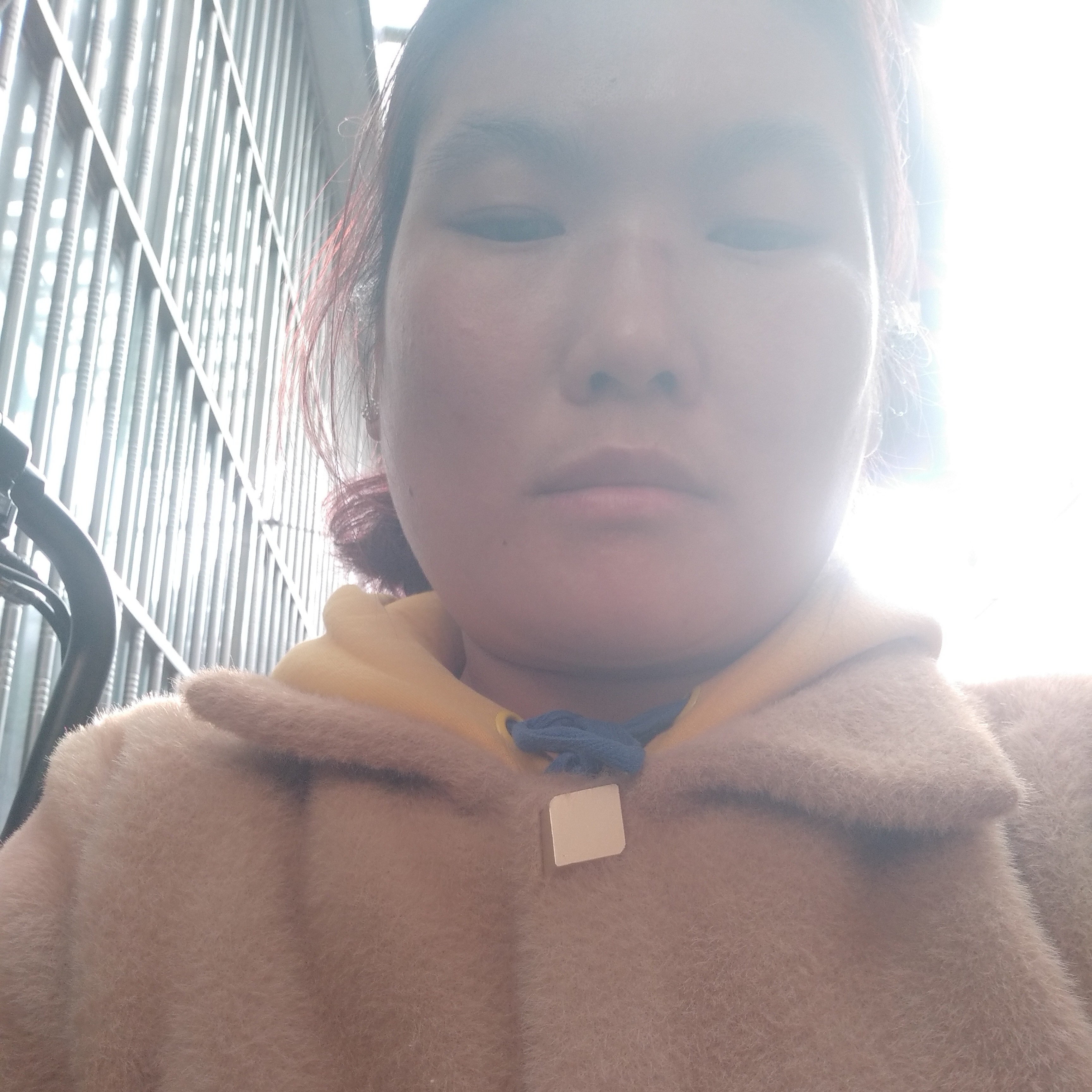 书本迎淡定的照片