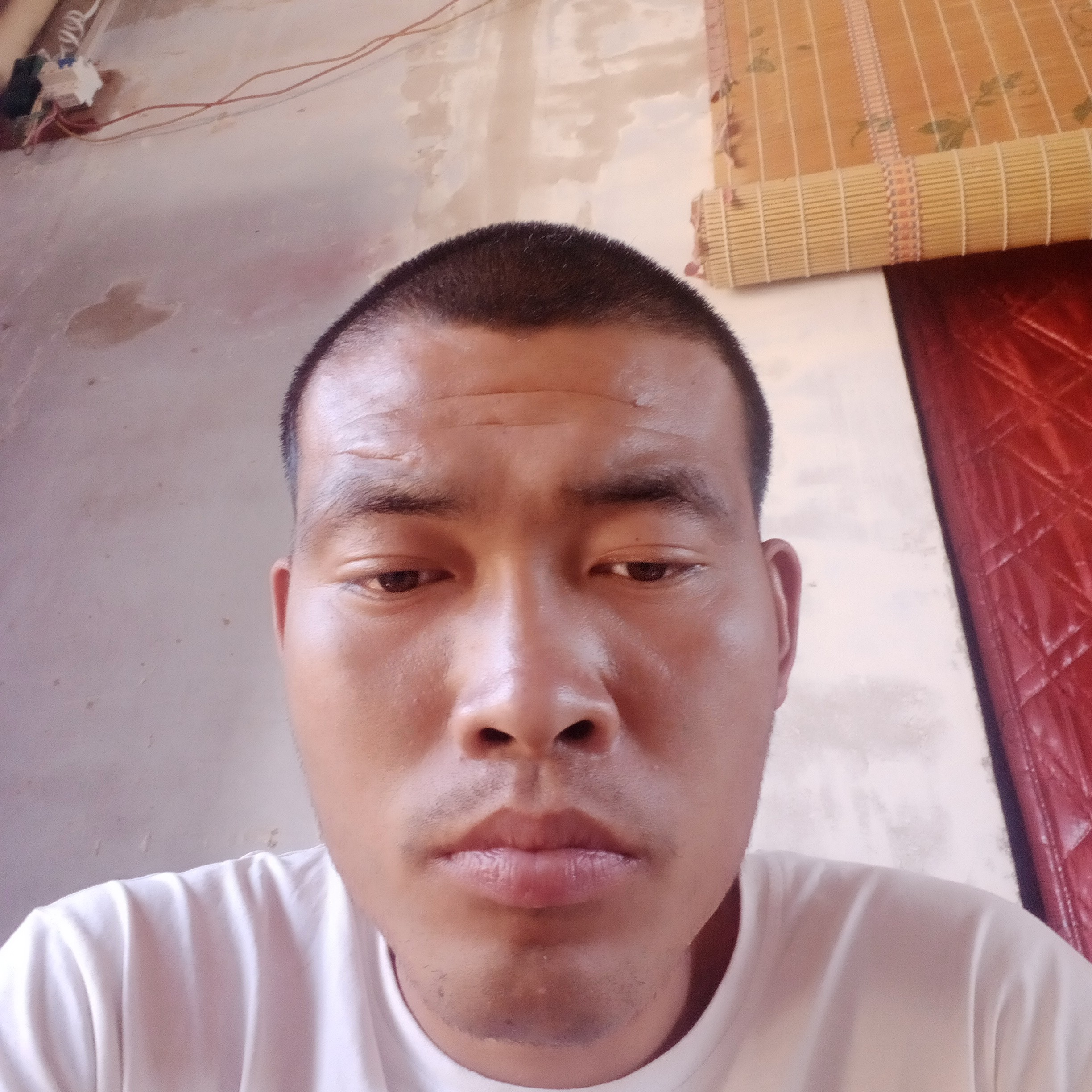 刻苦踢鸡的照片