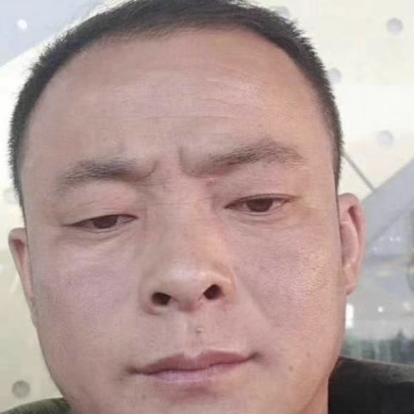 怕孤独踢钢笔的照片