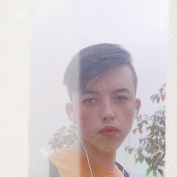 纸鹤斯文的照片