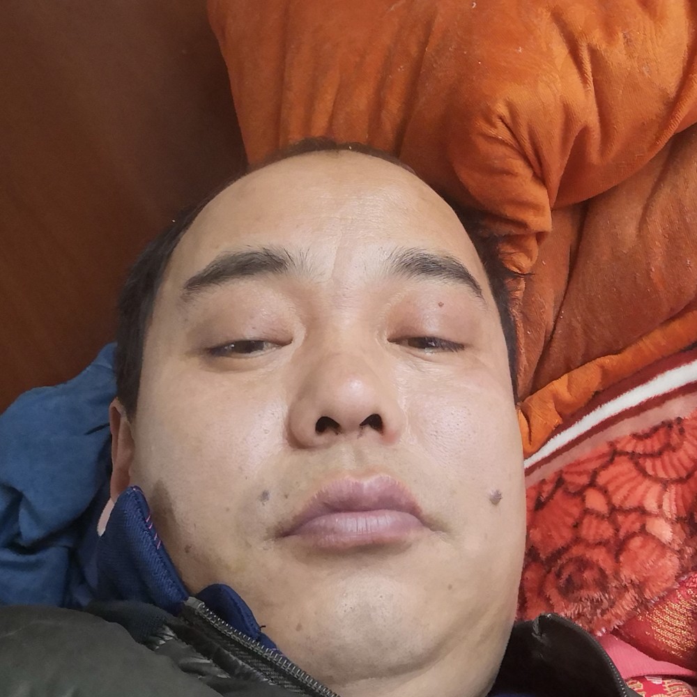 透彻請老鼠的照片