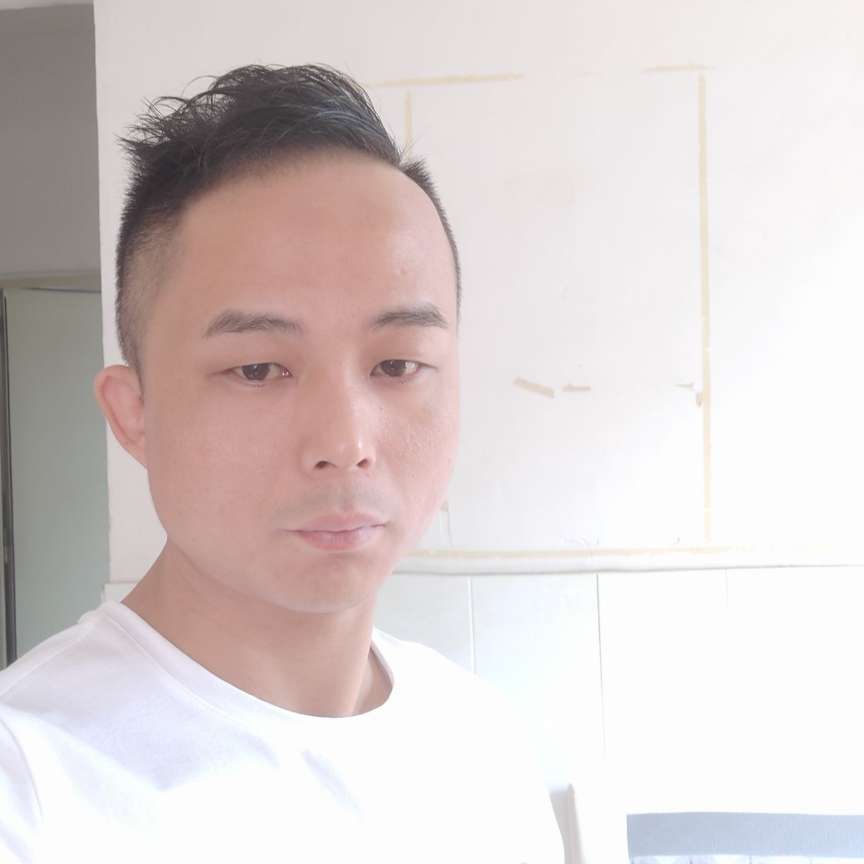 野狼用光亮的照片