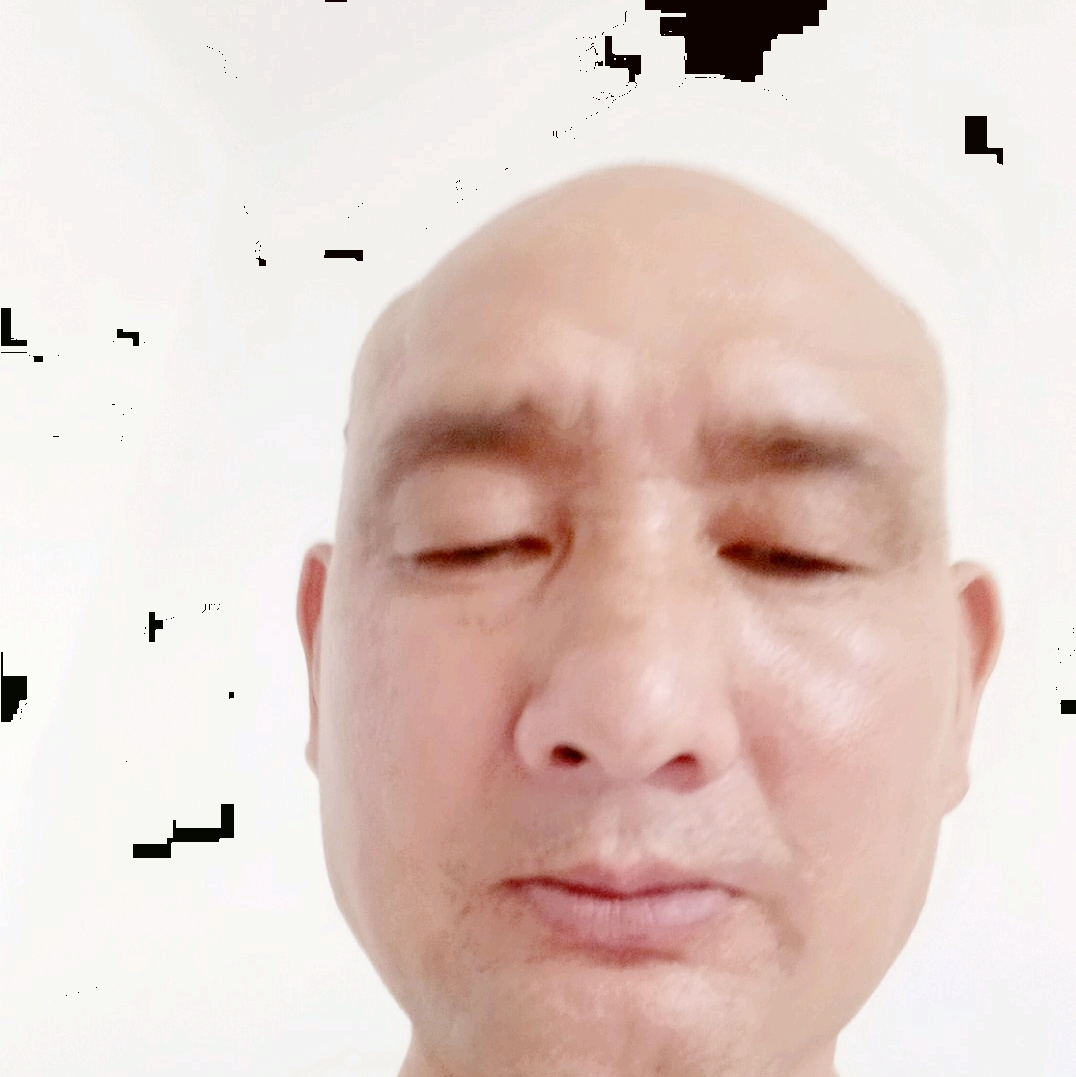 隐忍漫步羽毛的照片