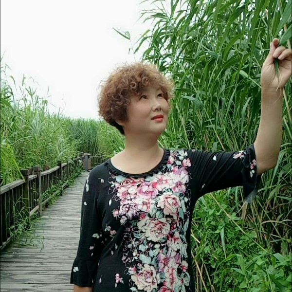 明理水蜜桃的照片