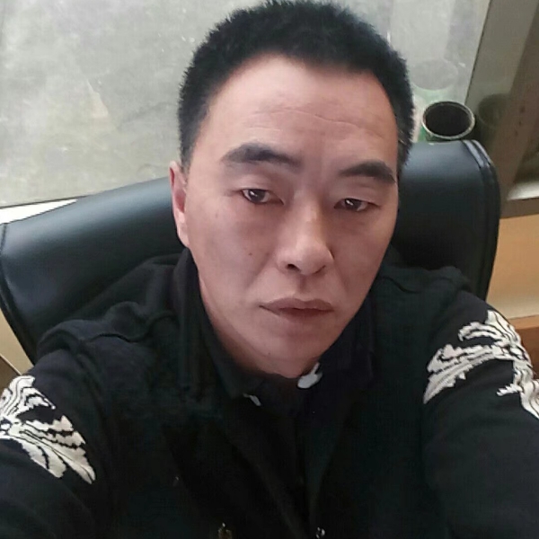 老实向胡萝卜的照片