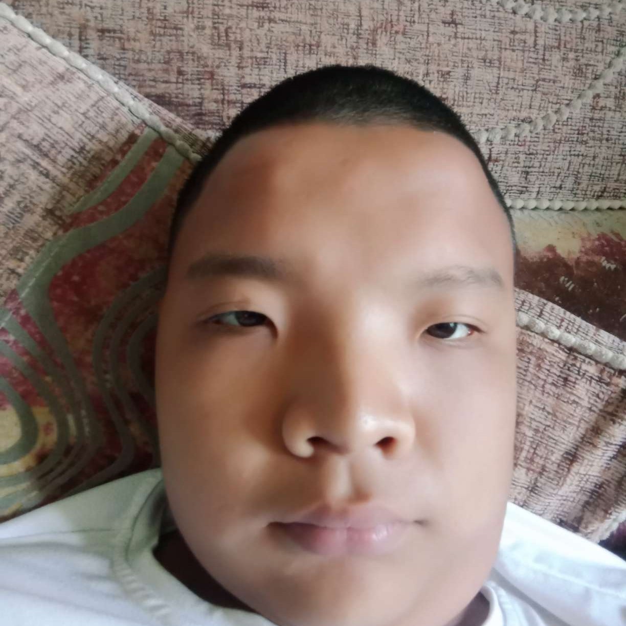 华攀的照片