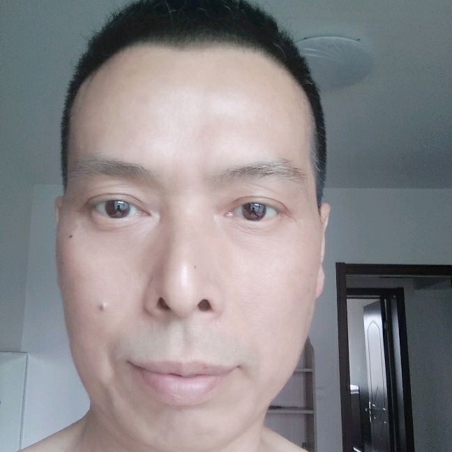 一片落叶的照片